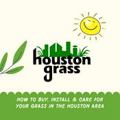 Podcast Houston Grass - How to Buy, Install and Care for Grass in the Houston Area