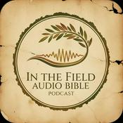 Podcast In the Field Audio Bible
