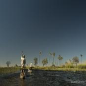 Podcast Into the Okavango
