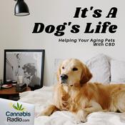 Podcast It's A Dog's Life