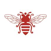 Podcast Jeroen Olyslaegers - WIL