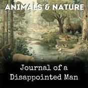 Podcast Journal of a Disappointed Man