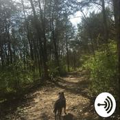 Podcast Kayla's new journey