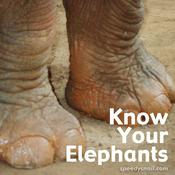 Podcast Know Your Elephants