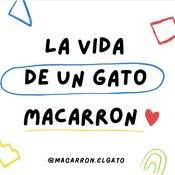 Podcast La Vida De Un Gato Macarron