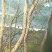 Podcast Les Clés du Placard