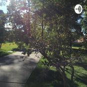 Podcast Let’s walk smart