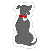 Podcast ¿Lo sabias? con Canem Basis