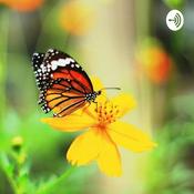 Podcast Luthfi Zain (Fifi)