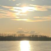 Podcast MacroMichael