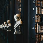 Podcast MENAGERIE OF ENLIGHTENMENT