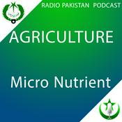 Podcast Micro Nutrient