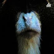 Podcast Monkey man