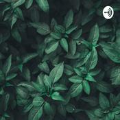 Podcast n k