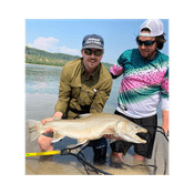 Podcast Nature Fellas Podcast