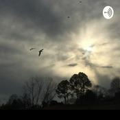 Podcast Not For Dummies