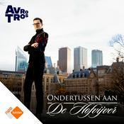 Podcast Ondertussen aan de Hofvijver