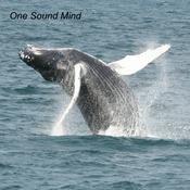 Podcast One Sound Mind