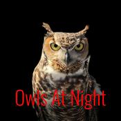 Podcast Owls At Night