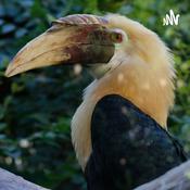 Podcast Parque internacional de Galapagos