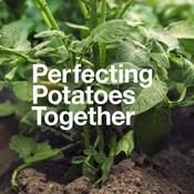 Podcast Perfecting Potatoes Together
