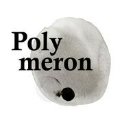 Podcast Polymeron
