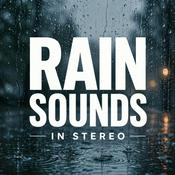 Podcast Rain Sounds in Stereo: Immersive Rainfall Ambience for Sleep, Relaxation, Meditation, and Stress Relief