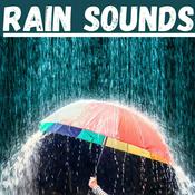Podcast Rain Sounds For Relaxation