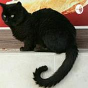 Podcast Releitura De Gato Preto