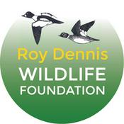 Podcast Roy Dennis Wildlife Foundation: hands-on conservation