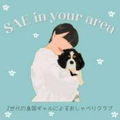 Podcast SAE in your area