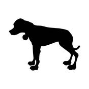 Podcast SANE's Black Dog Campaign » Podcasts