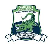 Podcast Santuccismallanimalandreptilerescue