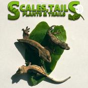 Podcast Scales, tails, plants and trails