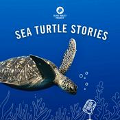 Podcast Sea Turtle Stories