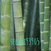 Podcast sensei93905