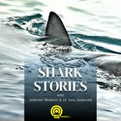 Podcast Shark Stories
