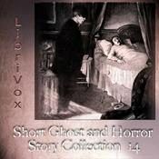 Podcast Short Ghost and Horror Collection 014 by Various