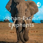 Podcast Siobhan-Exciting Elephants