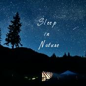 Podcast Sleep in Nature - Meditation Soundscapes