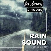 Podcast Sound of the rain for sleeping (2 hours)