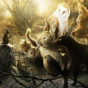Podcast Stone Circle Stories