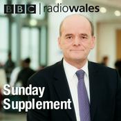 Podcast Sunday Supplement