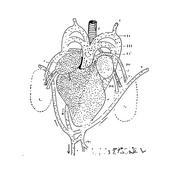 Podcast The Blood-Jet Writing Hour, a Writing Podcast