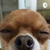 Podcast The Chil But No Chil Podcast