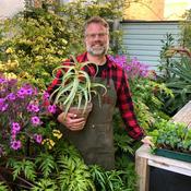 Podcast The Frustrated Gardener