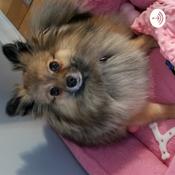 Podcast The Life And Story of All In