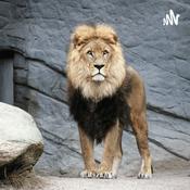 the lion king