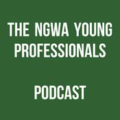 Podcast The Ngwa Young Professionals Podcast