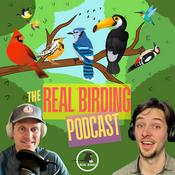 Podcast The Real Birding Podcast